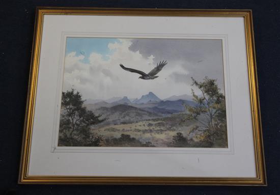 John Cyril Harrison (1898-1985) Martial Eagle, Umtali dry season 13 x 18.75in.